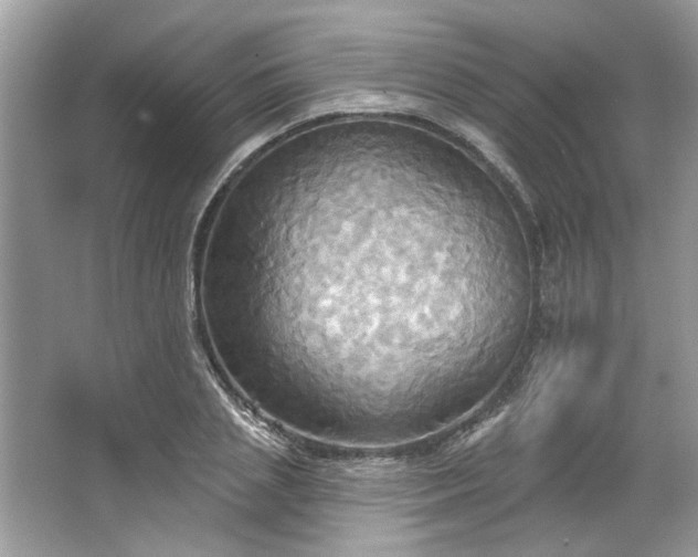 X0000067350837200604071423