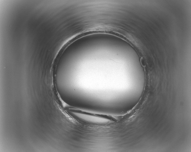 X0000067350838200604071423