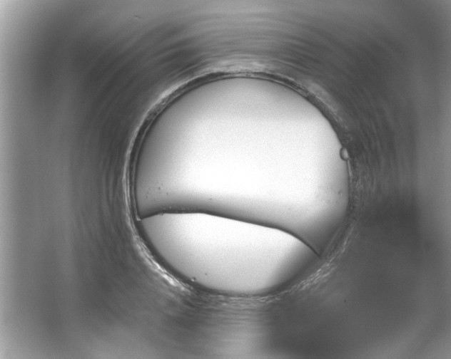 X0000067350840200604071423