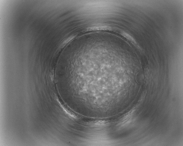 X0000067350841200604071423