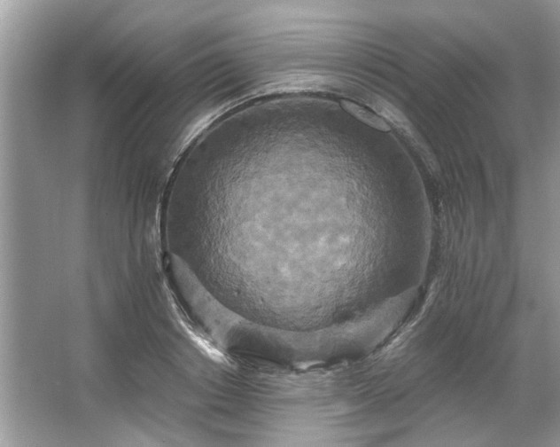 X0000067350842200604071423