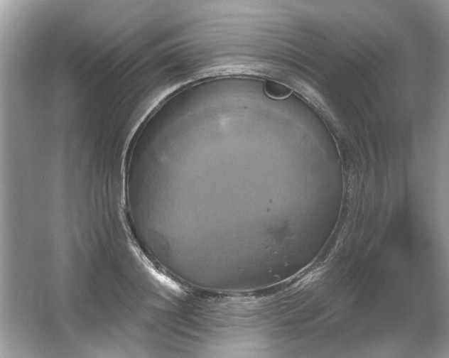 X0000067350844200604071423