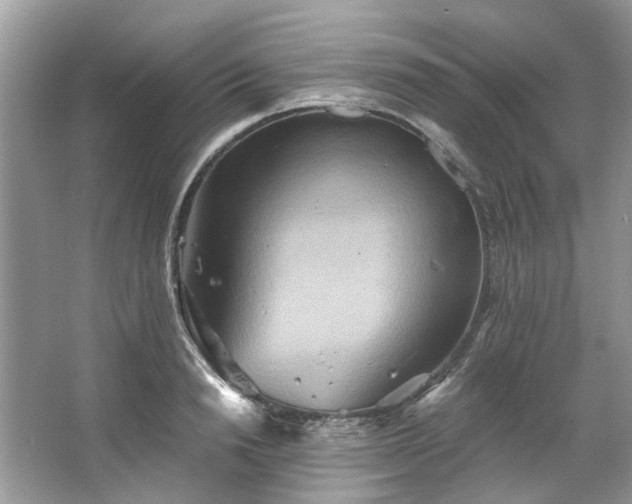 X0000067350846200604071423