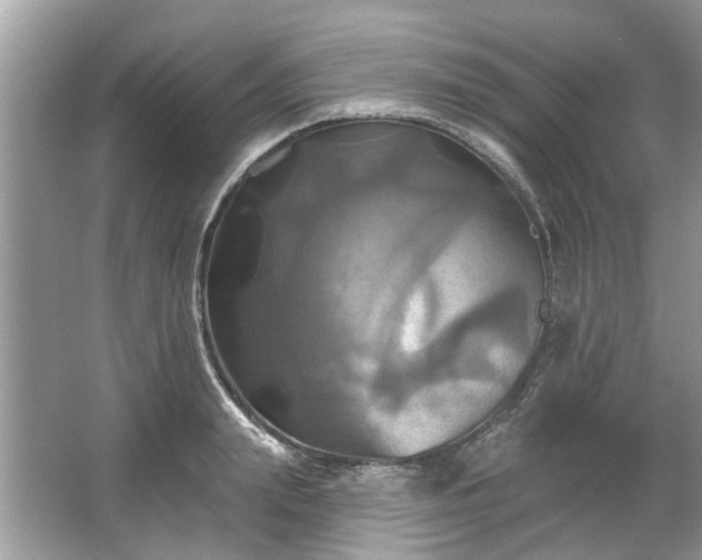 X0000067350847200604071423