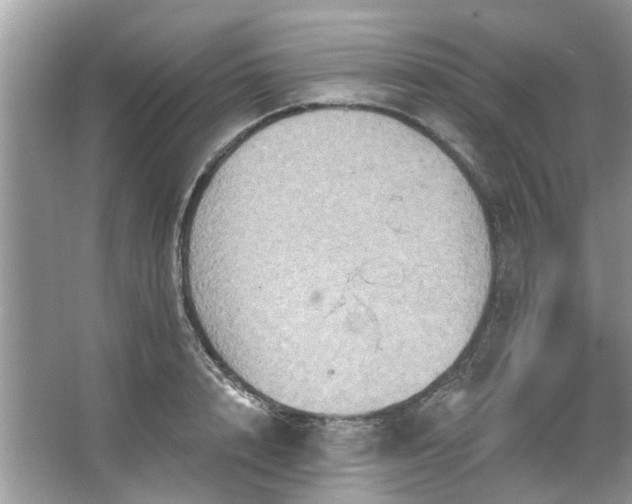 X0000067350848200604071423