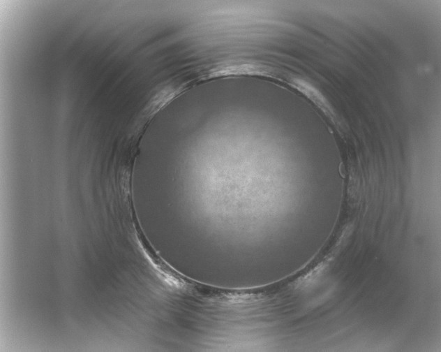 X0000067350849200604071423