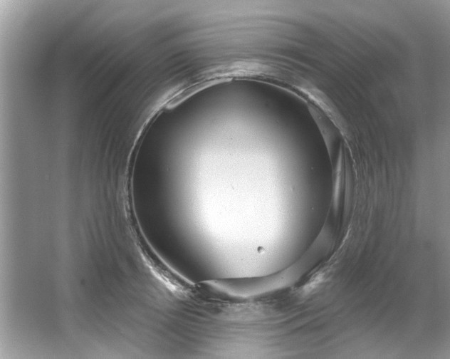 X0000067350850200604071423