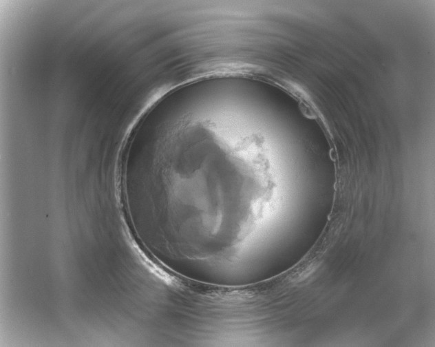 X0000067350851200604071423