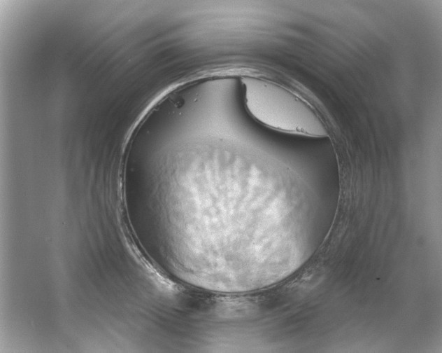 X0000067350852200604071423