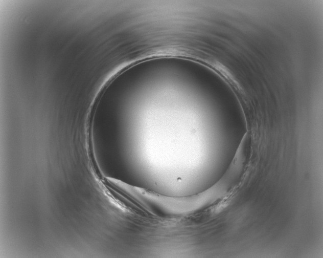 X0000067350854200604071424