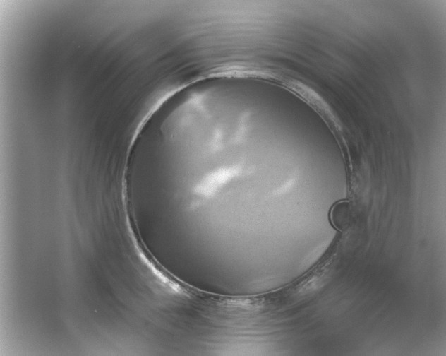 X0000067350855200604071424