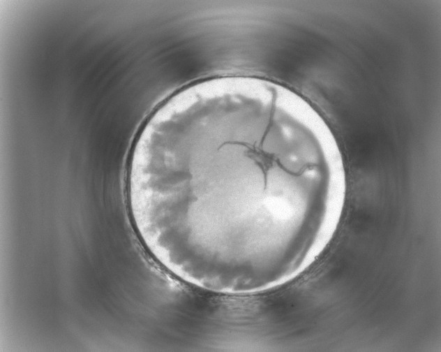 X0000067350856200604071424