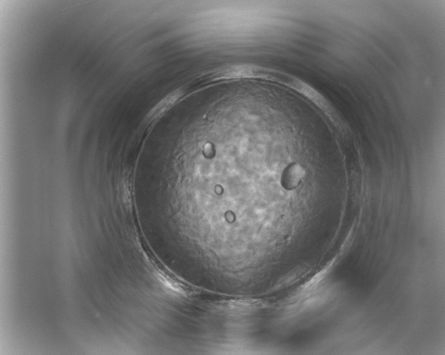 X0000067350857200604071424