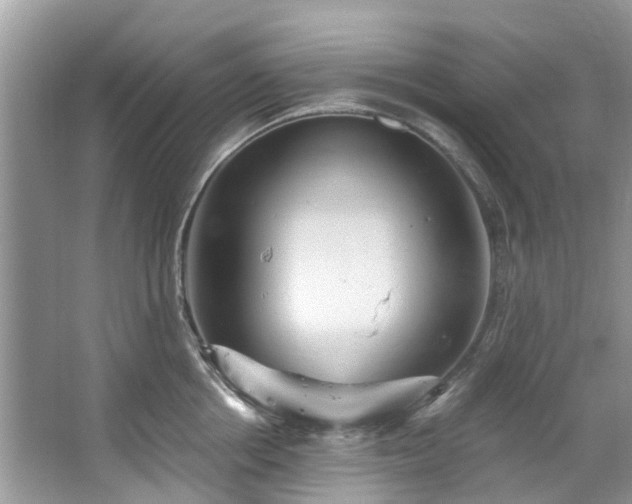 X0000067350858200604071424