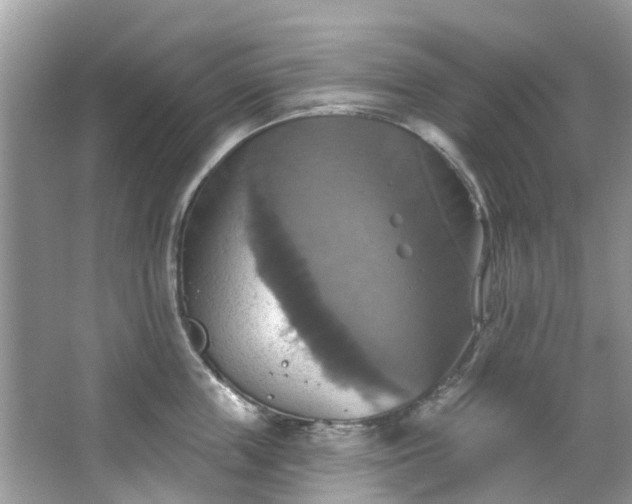 X0000067350859200604071424