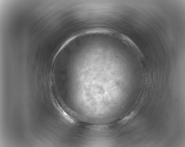 X0000067350860200604071424