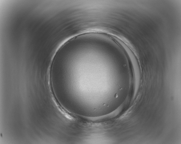 X0000067350862200604071424