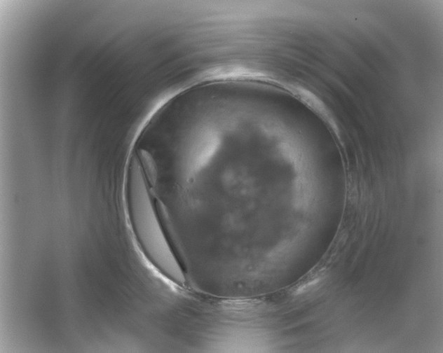 X0000067350863200604071424