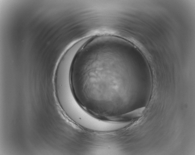 X0000067350864200604071424