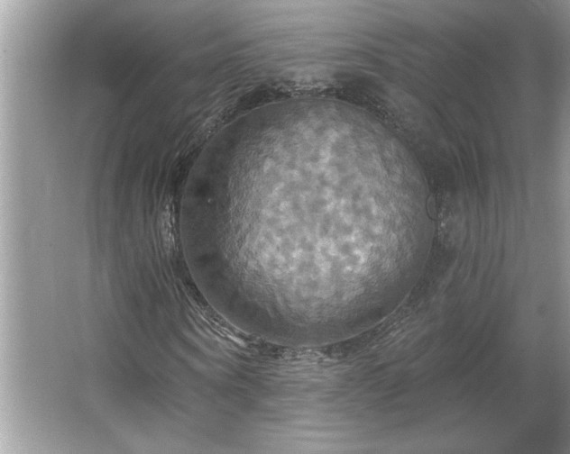 X0000067350866200604071423