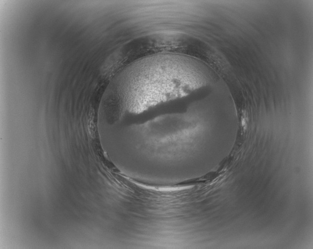 X0000067350867200604071423