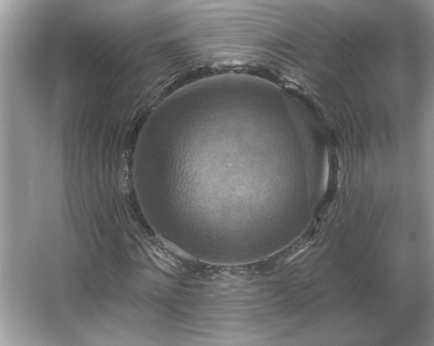 X0000067350868200604071423