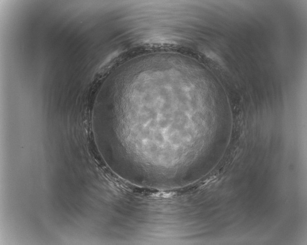 X0000067350870200604071423