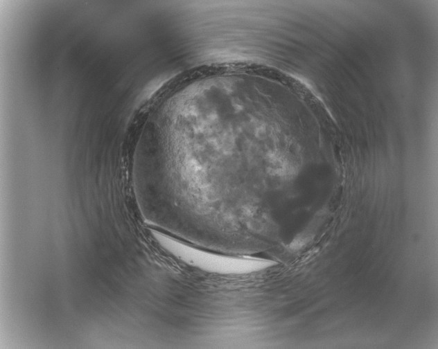 X0000067350871200604071423