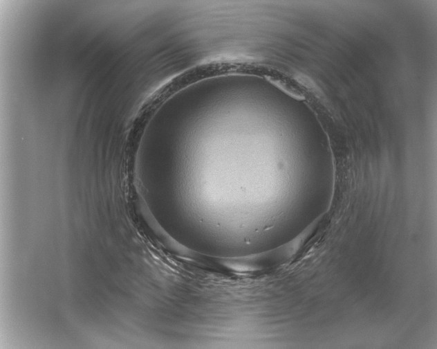 X0000067350872200604071423