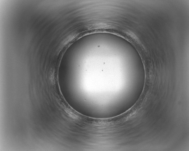 X0000067350873200604071423