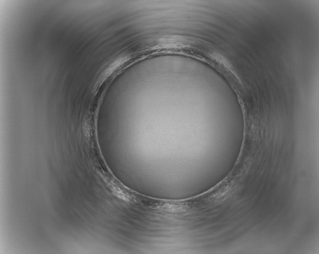 X0000067350874200604071423