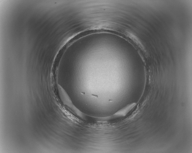 X0000067350876200604071423