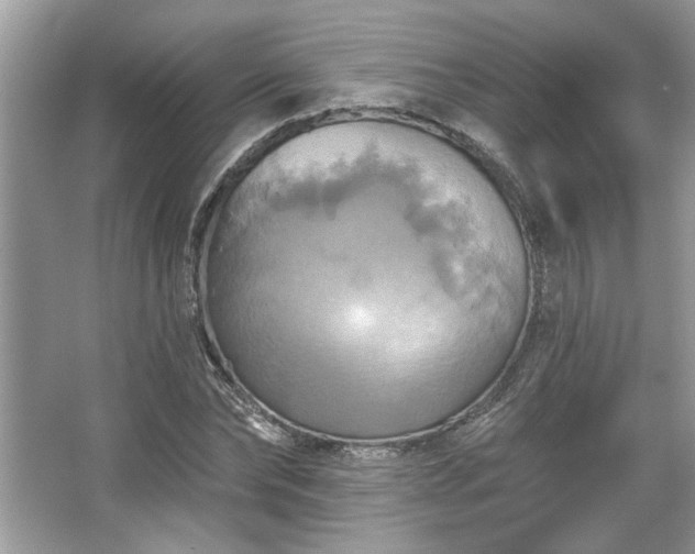 X0000067350878200604071423