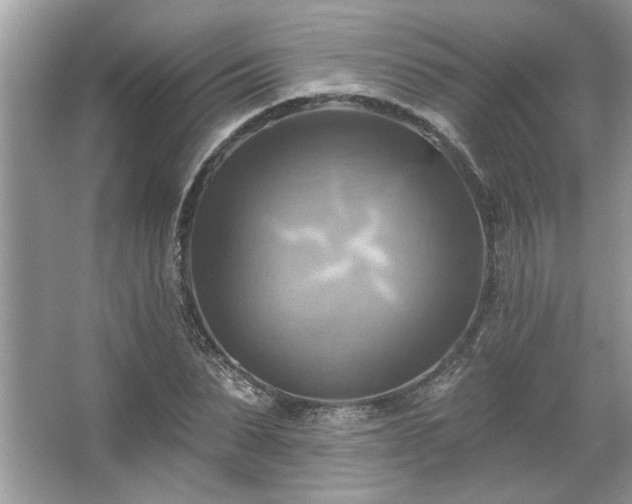 X0000067350879200604071423