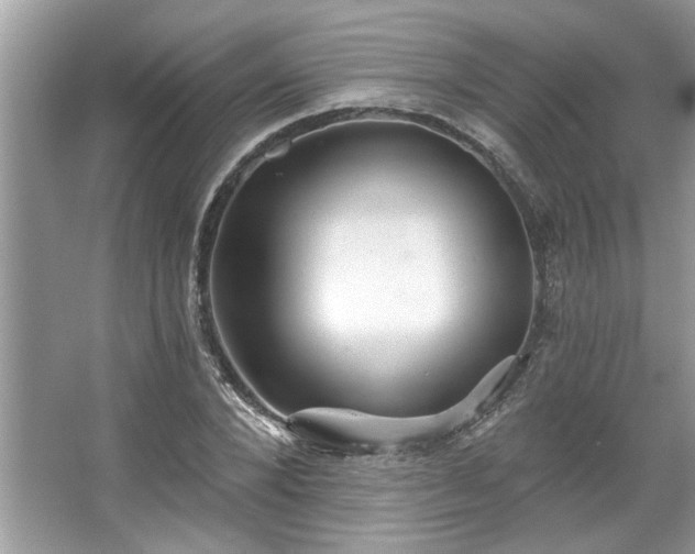 X0000067350880200604071423