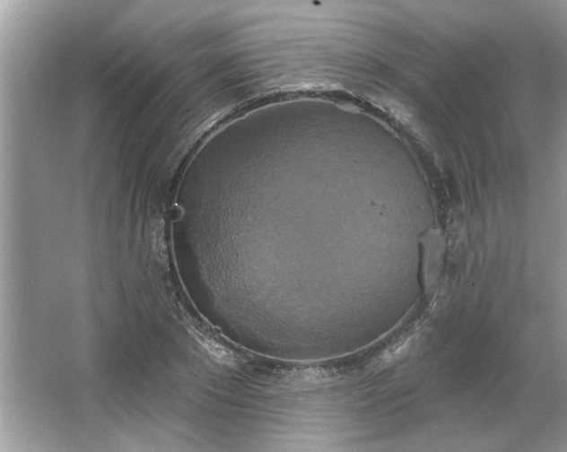 X0000067350881200604071423