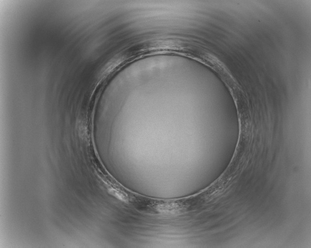 X0000067350882200604071423