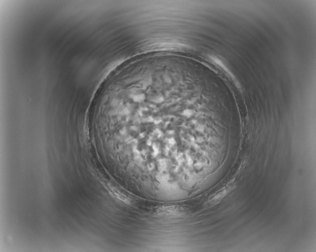 X0000067350883200604071423