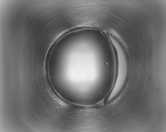 X0000067350884200604071423