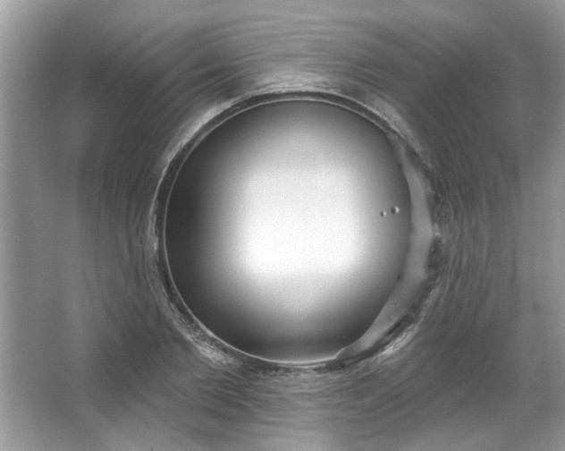 X0000067350885200604071423