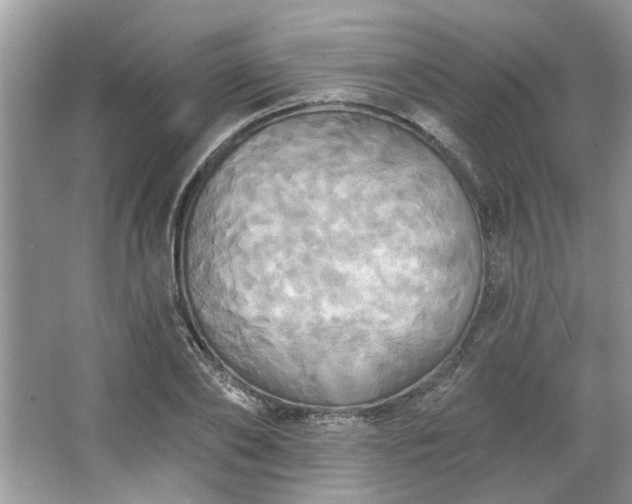 X0000067350886200604071422