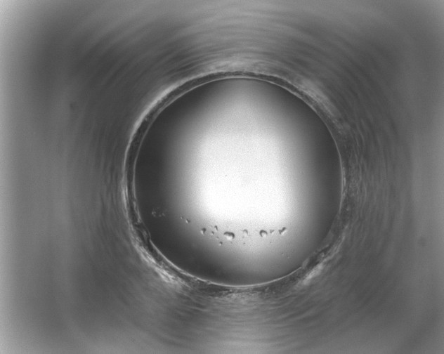 X0000067350888200604071422