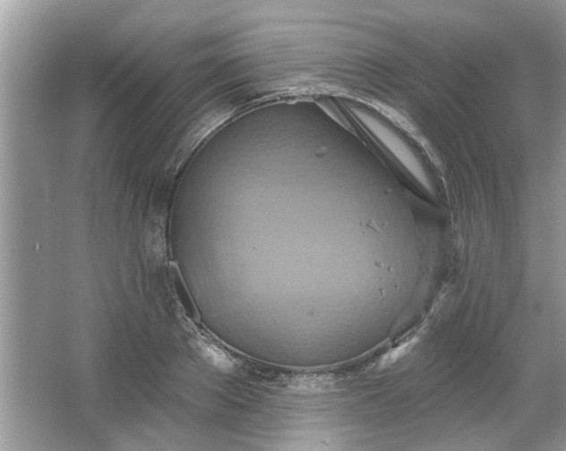 X0000067350889200604071422