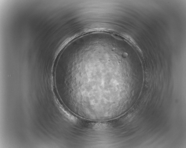 X0000067350890200604071422