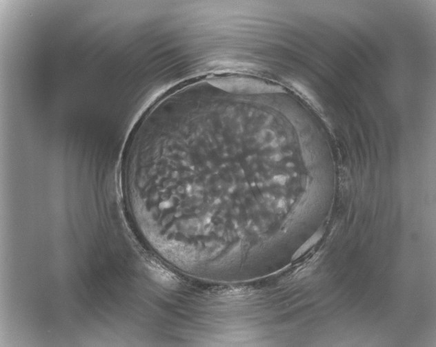 X0000067350891200604071422