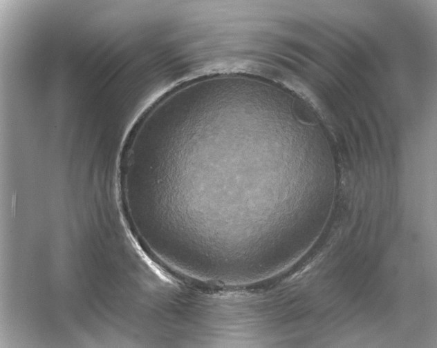 X0000067350894200604071422