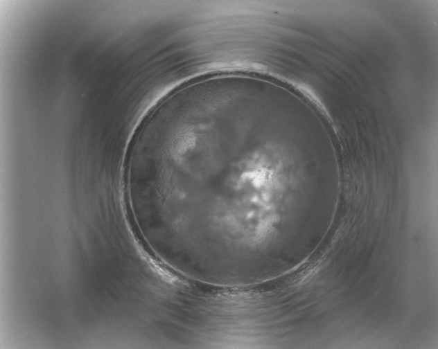 X0000067350895200604071422