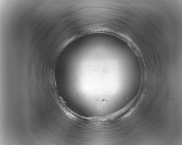 X0000067350897200604071422