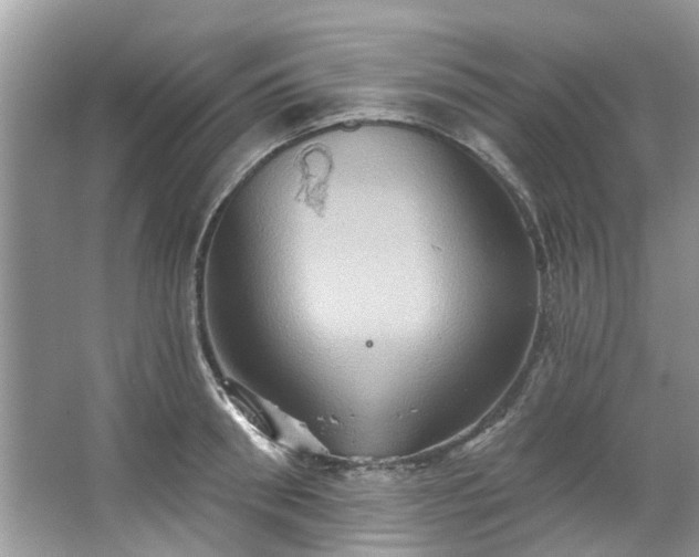 X0000067350898200604071422