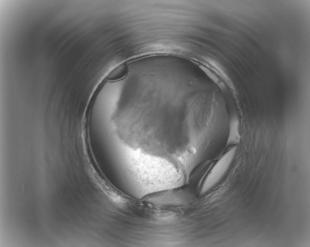 X0000067350899200604071422